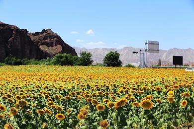 《红霞岛》战役中途不能切换角色 技能路线固定